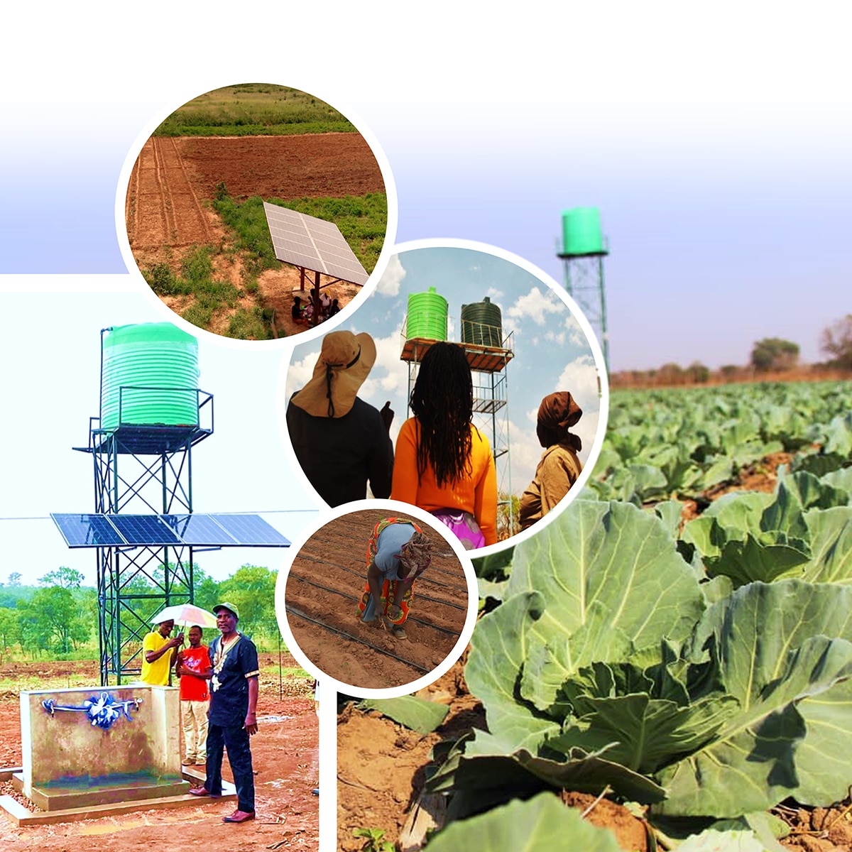 A graphic o solar panels, water towers, farming, and crops