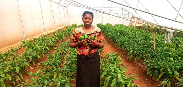 Mwanamke Mtanzania ashika Zawadi ya Mazao Katika Greenhouse