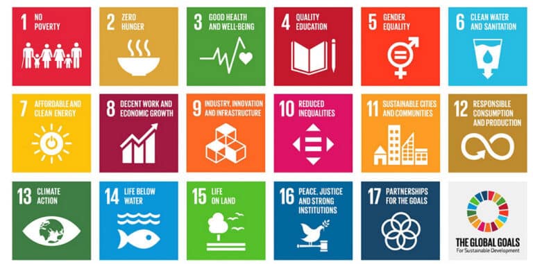 SDG grid